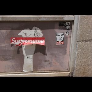 Meet your Posher, Noah